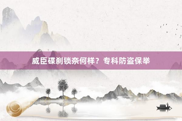 威臣碟刹锁奈何样？专科防盗保举